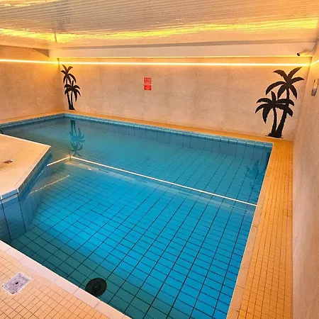 6 Pers Am Skilift Groessten Skigebiets, Ruhige Garten Im Wald, Gemuetlichen Apres-ski-cafes Restaurants Zu Fuss Erreichbar, Parkplatz, Schwimmbad, Sauna, Relaxraum, Buchbaren Massages Wellness Der Brabander, Darts Tischtennis-f *