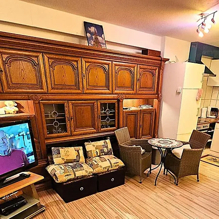 Appartement 6 Pers Am Skilift Größten Skigebiets, Ruhige Garten Im Wald, Gemütlichen Après-ski-cafés Restaurants Zu Fuß Erreichbar, Parkplatz, Schwimmbad, Sauna, Relaxraum, Buchbaren Massages Wellness Der Brabander, Darts Tischtennis-fußba