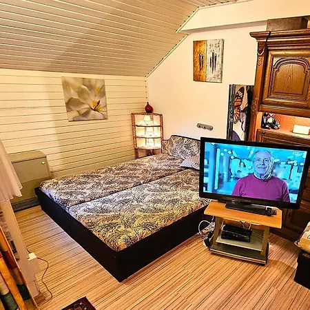 6 Pers Am Skilift Groessten Skigebiets, Ruhige Garten Im Wald, Gemuetlichen Apres-ski-cafes Restaurants Zu Fuss Erreichbar, Parkplatz, Schwimmbad, Sauna, Relaxraum, Buchbaren Massages Wellness Der Brabander, Darts Tischtennis-f Διαμέρισμα *