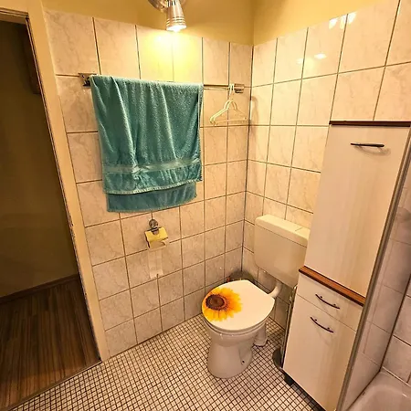 6 Pers Am Skilift Groessten Skigebiets, Ruhige Garten Im Wald, Gemuetlichen Apres-ski-cafes Restaurants Zu Fuss Erreichbar, Parkplatz, Schwimmbad, Sauna, Relaxraum, Buchbaren Massages Wellness Der Brabander, Darts Tischtennis-f *