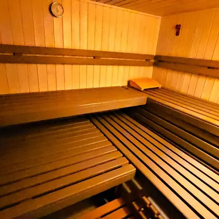 6 Pers Am Skilift Groessten Skigebiets, Ruhige Garten Im Wald, Gemuetlichen Apres-ski-cafes Restaurants Zu Fuss Erreichbar, Parkplatz, Schwimmbad, Sauna, Relaxraum, Buchbaren Massages Wellness Der Brabander, Darts Tischtennis-f アパート *