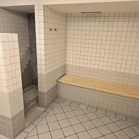 Appartement 6 Pers Am Skilift Größten Skigebiets, Ruhige Garten Im Wald, Gemütlichen Après-ski-cafés Restaurants Zu Fuß Erreichbar, Parkplatz, Schwimmbad, Sauna, Relaxraum, Buchbaren Massages Wellness Der Brabander, Darts Tischtennis-fußba *