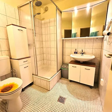 6 Pers Am Skilift Groessten Skigebiets, Ruhige Garten Im Wald, Gemuetlichen Apres-ski-cafes Restaurants Zu Fuss Erreichbar, Parkplatz, Schwimmbad, Sauna, Relaxraum, Buchbaren Massages Wellness Der Brabander, Darts Tischtennis-f Appartement *