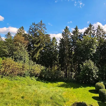 6 Pers Aan Skilift Grootste Skigebied Nabij Bikepark Unieke Locatie Met Zeer Rustige Tuin In Het Bos En Het Gezellige Centrum Leuke Cafes Restaurants En Gratis Zwembad Sauna Relax Speelruimte Parkeerplaats Naast Der Brabander * Βίντερμπεργκ