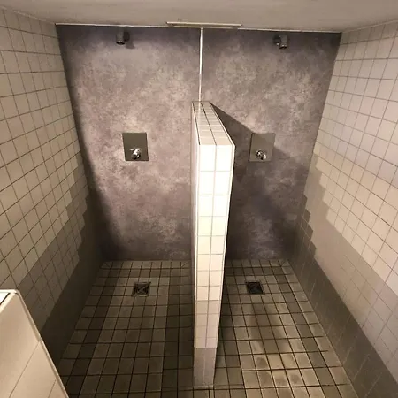 Appartement 6 Pers Am Skilift Größten Skigebiets, Ruhige Garten Im Wald, Gemütlichen Après-ski-cafés Restaurants Zu Fuß Erreichbar, Parkplatz, Schwimmbad, Sauna, Relaxraum, Buchbaren Massages Wellness Der Brabander, Darts Tischtennis-fußba Winterberg