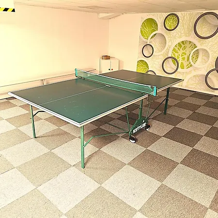 Appartement 6 Pers Am Skilift Groessten Skigebiets, Ruhige Garten Im Wald, Gemuetlichen Apres-ski-cafes Restaurants Zu Fuss Erreichbar, Parkplatz, Schwimmbad, Sauna, Relaxraum, Buchbaren Massages Wellness Der Brabander, Darts Tischtennis-f