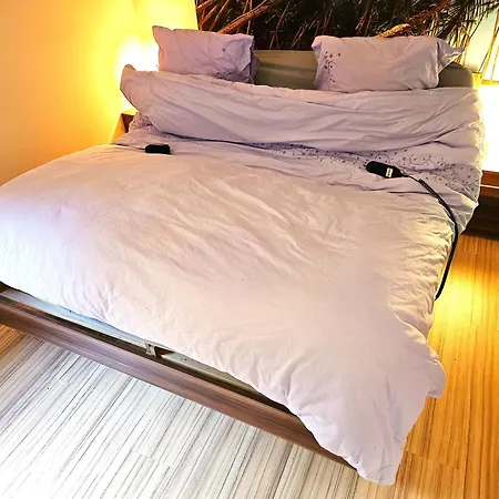 6 Pers Am Skilift Groessten Skigebiets, Ruhige Garten Im Wald, Gemuetlichen Apres-ski-cafes Restaurants Zu Fuss Erreichbar, Parkplatz, Schwimmbad, Sauna, Relaxraum, Buchbaren Massages Wellness Der Brabander, Darts Tischtennis-f דירה ווינטרברג