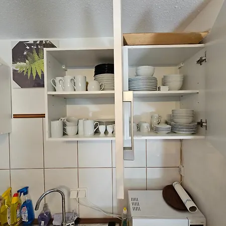 Appartement 6 Pers Am Skilift Größten Skigebiets, Ruhige Garten Im Wald, Gemütlichen Après-ski-cafés Restaurants Zu Fuß Erreichbar, Parkplatz, Schwimmbad, Sauna, Relaxraum, Buchbaren Massages Wellness Der Brabander, Darts Tischtennis-fußba *