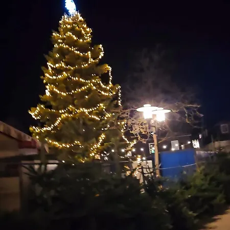 דירה 6 Pers Am Skilift Groessten Skigebiets, Ruhige Garten Im Wald, Gemuetlichen Apres-ski-cafes Restaurants Zu Fuss Erreichbar, Parkplatz, Schwimmbad, Sauna, Relaxraum, Buchbaren Massages Wellness Der Brabander, Darts Tischtennis-f ווינטרברג