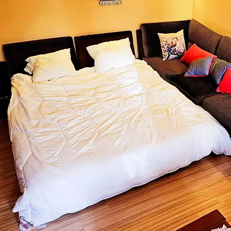 アパート 6 Pers Am Skilift Groessten Skigebiets, Ruhige Garten Im Wald, Gemuetlichen Apres-ski-cafes Restaurants Zu Fuss Erreichbar, Parkplatz, Schwimmbad, Sauna, Relaxraum, Buchbaren Massages Wellness Der Brabander, Darts Tischtennis-f