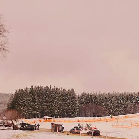 6 Pers Am Skilift Groessten Skigebiets, Ruhige Garten Im Wald, Gemuetlichen Apres-ski-cafes Restaurants Zu Fuss Erreichbar, Parkplatz, Schwimmbad, Sauna, Relaxraum, Buchbaren Massages Wellness Der Brabander, Darts Tischtennis-f *