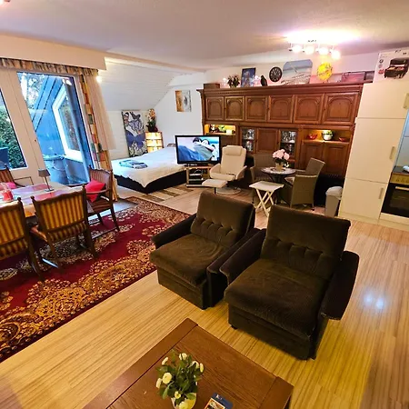 6 Pers Am Skilift Groessten Skigebiets, Ruhige Garten Im Wald, Gemuetlichen Apres-ski-cafes Restaurants Zu Fuss Erreichbar, Parkplatz, Schwimmbad, Sauna, Relaxraum, Buchbaren Massages Wellness Der Brabander, Darts Tischtennis-f