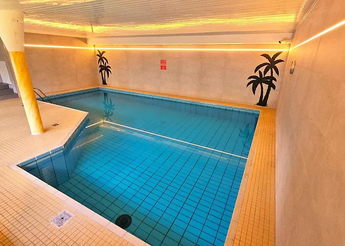 6 Pers Am Skilift Größten Skigebiets, Ruhige Garten Im Wald, Gemütlichen Après-ski-cafés Restaurants Zu Fuß Erreichbar, Parkplatz, Schwimmbad, Sauna, Relaxraum, Buchbaren Massages Wellness Der Brabander, Darts Tischtennis-fußba *