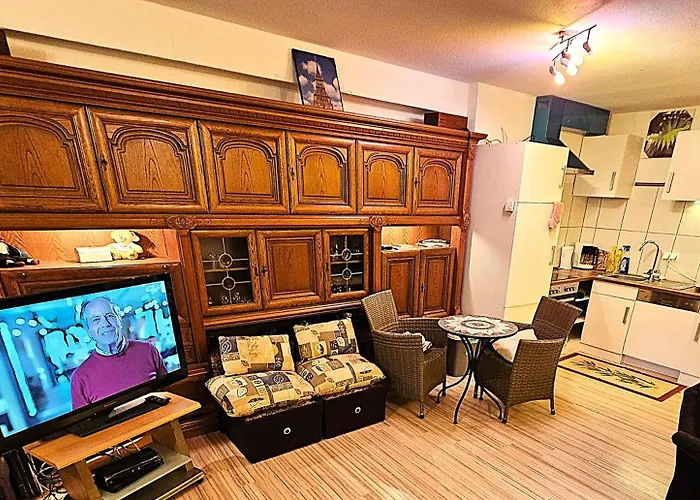 Apartamento Winterberg Appartement 6 Pers am Skilift größten Skigebiets, ruhige Garten im Wald, gemütlichen Après-Ski-Cafés Restaurants zu Fuß erreichbar, Parkplatz, Schwimmbad, Sauna, Relaxraum, Buchbaren Massages Wellness Der Brabander, Darts Tischtennis-Fußba