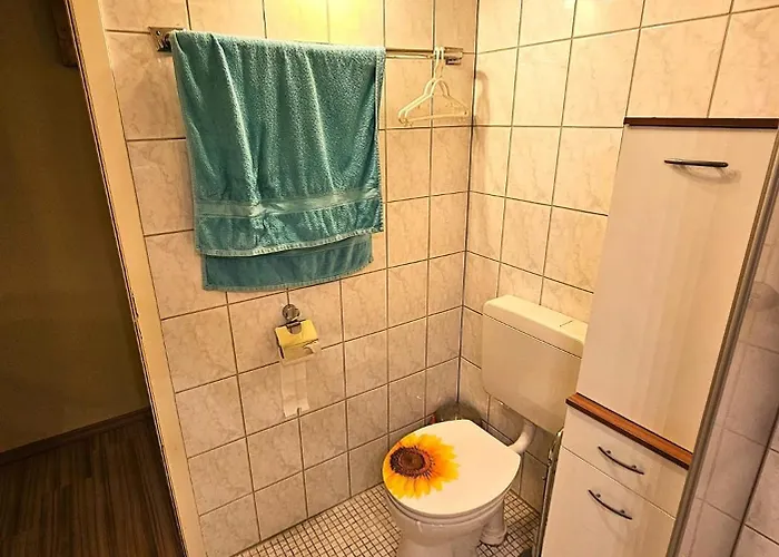 Winterberg Appartement 6 Pers am Skilift größten Skigebiets, ruhige Garten im Wald, gemütlichen Après-Ski-Cafés Restaurants zu Fuß erreichbar, Parkplatz, Schwimmbad, Sauna, Relaxraum, Buchbaren Massages Wellness Der Brabander, Darts Tischtennis-Fußba *