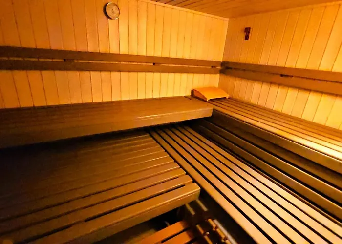 Winterberg Appartement 6 Pers am Skilift größten Skigebiets, ruhige Garten im Wald, gemütlichen Après-Ski-Cafés Restaurants zu Fuß erreichbar, Parkplatz, Schwimmbad, Sauna, Relaxraum, Buchbaren Massages Wellness Der Brabander, Darts Tischtennis-Fußba Apartamento *