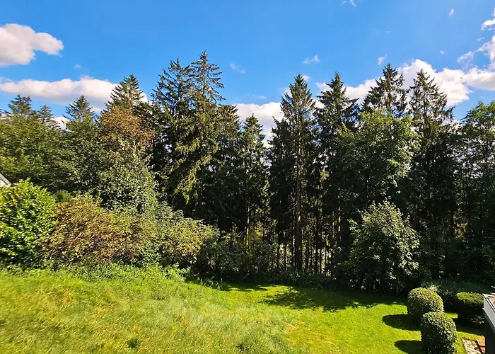 Winterberg Appartement 6 Pers am Skilift größten Skigebiets, ruhige Garten im Wald, gemütlichen Après-Ski-Cafés Restaurants zu Fuß erreichbar, Parkplatz, Schwimmbad, Sauna, Relaxraum, Buchbaren Massages Wellness Der Brabander, Darts Tischtennis-Fußba * Winterberg