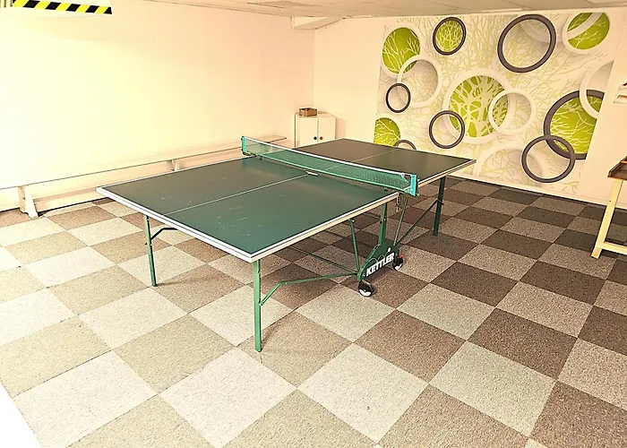 Apartment 6 Pers Am Skilift Größten Skigebiets, Ruhige Garten Im Wald, Gemütlichen Après-ski-cafés Restaurants Zu Fuß Erreichbar, Parkplatz, Schwimmbad, Sauna, Relaxraum, Buchbaren Massages Wellness Der Brabander, Darts Tischtennis-fußba