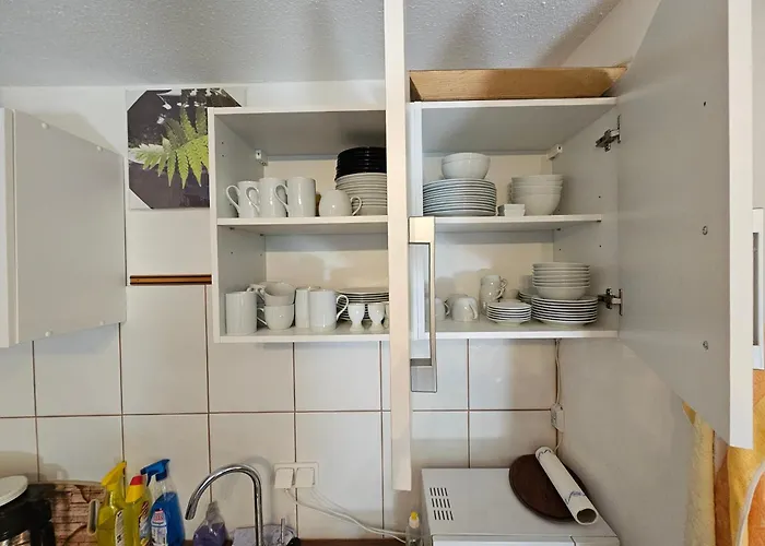 Apartamento Winterberg Appartement 6 Pers am Skilift größten Skigebiets, ruhige Garten im Wald, gemütlichen Après-Ski-Cafés Restaurants zu Fuß erreichbar, Parkplatz, Schwimmbad, Sauna, Relaxraum, Buchbaren Massages Wellness Der Brabander, Darts Tischtennis-Fußba *