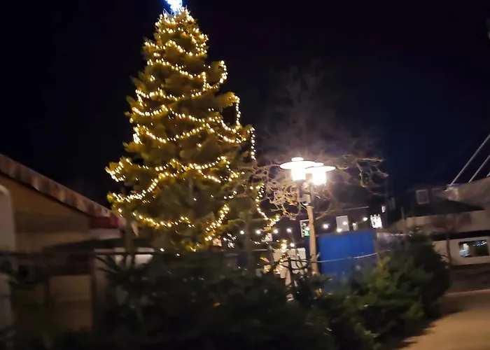 Apartamento Winterberg Appartement 6 Pers am Skilift größten Skigebiets, ruhige Garten im Wald, gemütlichen Après-Ski-Cafés Restaurants zu Fuß erreichbar, Parkplatz, Schwimmbad, Sauna, Relaxraum, Buchbaren Massages Wellness Der Brabander, Darts Tischtennis-Fußba Winterberg