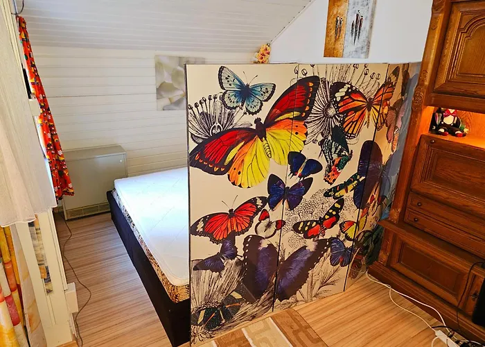 6 Pers Am Skilift Größten Skigebiets, Ruhige Garten Im Wald, Gemütlichen Après-ski-cafés Restaurants Zu Fuß Erreichbar, Parkplatz, Schwimmbad, Sauna, Relaxraum, Buchbaren Massages Wellness Der Brabander, Darts Tischtennis-fußba Apartment