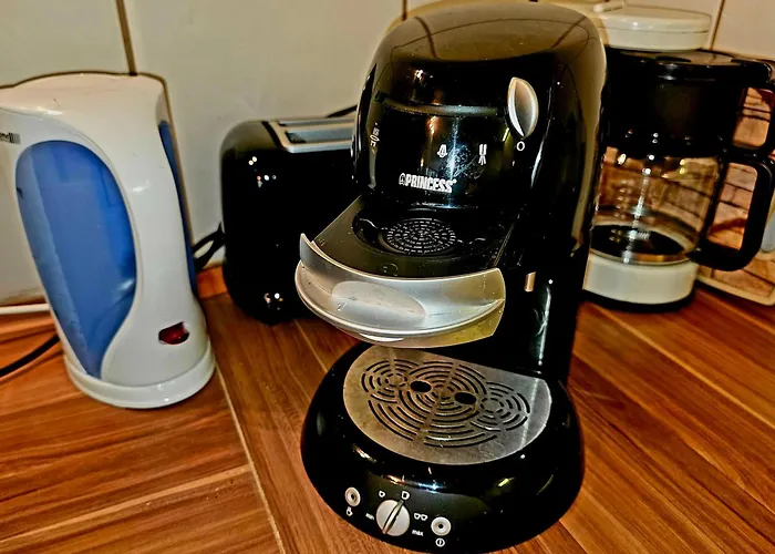 6 Pers Am Skilift Größten Skigebiets, Ruhige Garten Im Wald, Gemütlichen Après-ski-cafés Restaurants Zu Fuß Erreichbar, Parkplatz, Schwimmbad, Sauna, Relaxraum, Buchbaren Massages Wellness Der Brabander, Darts Tischtennis-fußba Winterberg