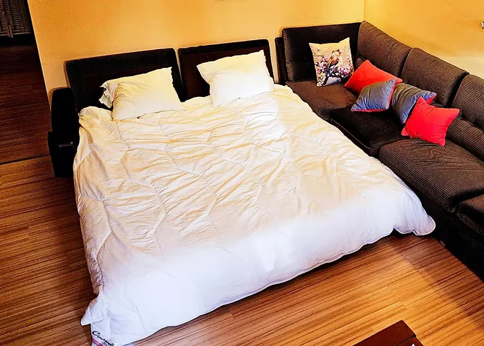 Apartamento Winterberg Appartement 6 Pers am Skilift größten Skigebiets, ruhige Garten im Wald, gemütlichen Après-Ski-Cafés Restaurants zu Fuß erreichbar, Parkplatz, Schwimmbad, Sauna, Relaxraum, Buchbaren Massages Wellness Der Brabander, Darts Tischtennis-Fußba