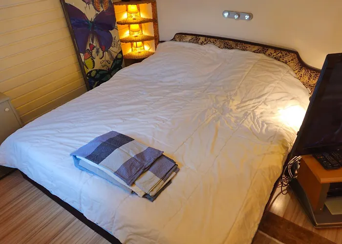 Apartamento Winterberg Appartement 6 Pers am Skilift größten Skigebiets, ruhige Garten im Wald, gemütlichen Après-Ski-Cafés Restaurants zu Fuß erreichbar, Parkplatz, Schwimmbad, Sauna, Relaxraum, Buchbaren Massages Wellness Der Brabander, Darts Tischtennis-Fußba *