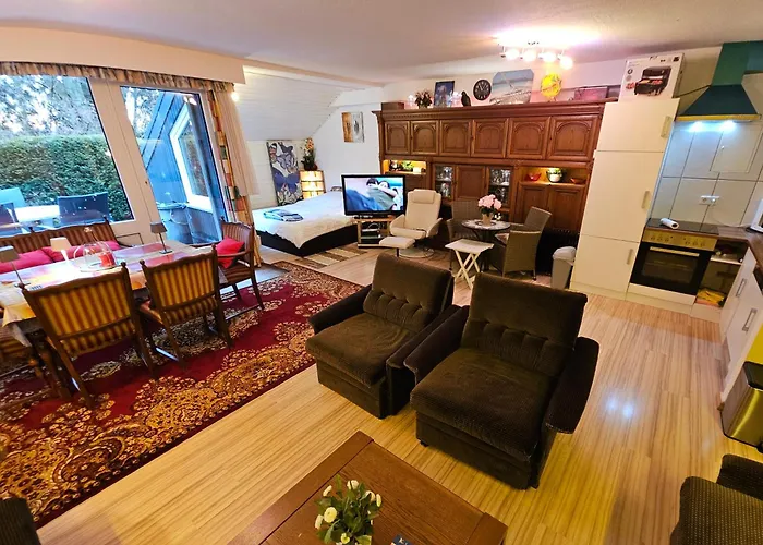 Winterberg Appartement 6 Pers am Skilift größten Skigebiets, ruhige Garten im Wald, gemütlichen Après-Ski-Cafés Restaurants zu Fuß erreichbar, Parkplatz, Schwimmbad, Sauna, Relaxraum, Buchbaren Massages Wellness Der Brabander, Darts Tischtennis-Fußba